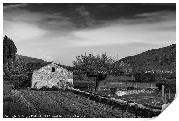 Old stone farm barn in spring vineyard. Europe. Print by Sergey Fedoskin