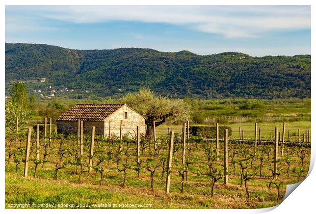 Barn in vineyard in croatian valley. Early summer. Print by Sergey Fedoskin