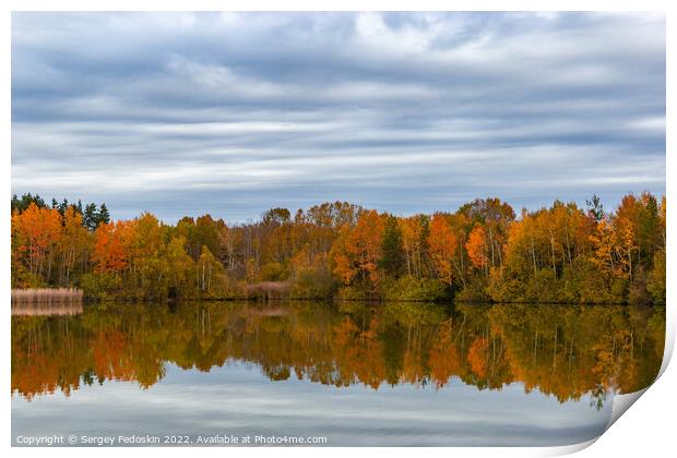 Forest lake in cloudy, autumn weather. Late fall. Europe. Print by Sergey Fedoskin