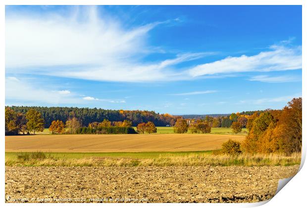 Sunny autumn day in european countryside. Czech Republic. Print by Sergey Fedoskin