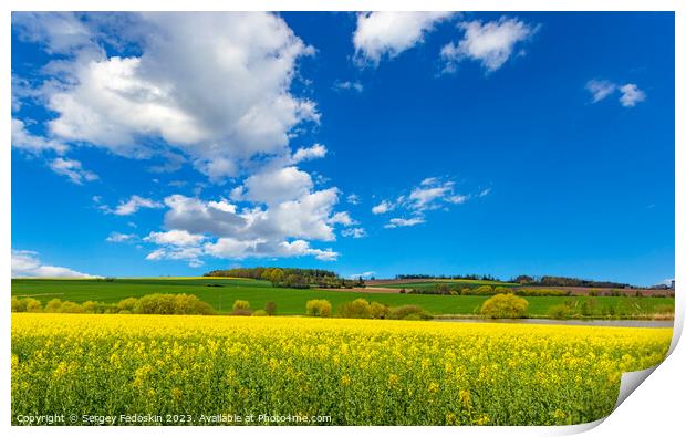 Rural area with rapeseed fields and forests under the blue sky. Print by Sergey Fedoskin