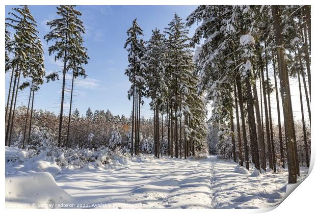 Snowy forest after heavy snowfall in central Europe Print by Sergey Fedoskin