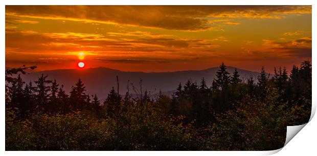 Sunset in Sumava forest. Print by Sergey Fedoskin