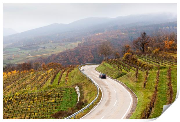Road between vineyards, Wachau, Austria. Print by Sergey Fedoskin