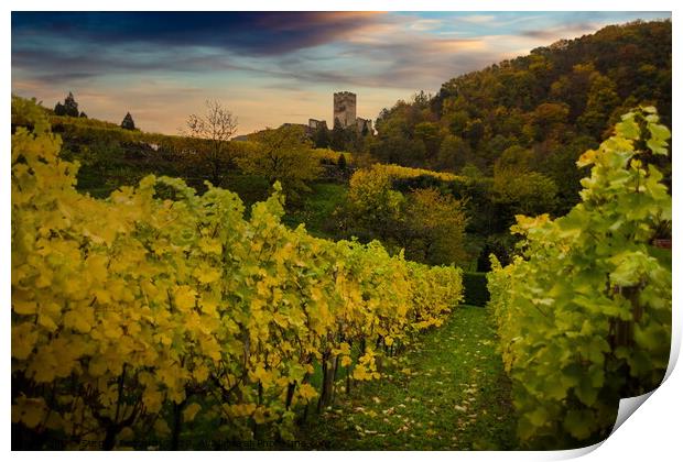 Vineyards in Wachau valley, Spitz, Lower Austria. Print by Sergey Fedoskin