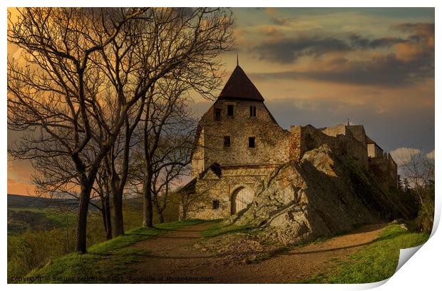 Castle Tocnik. Print by Sergey Fedoskin