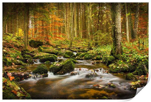 Autumn creek Print by Sergey Fedoskin