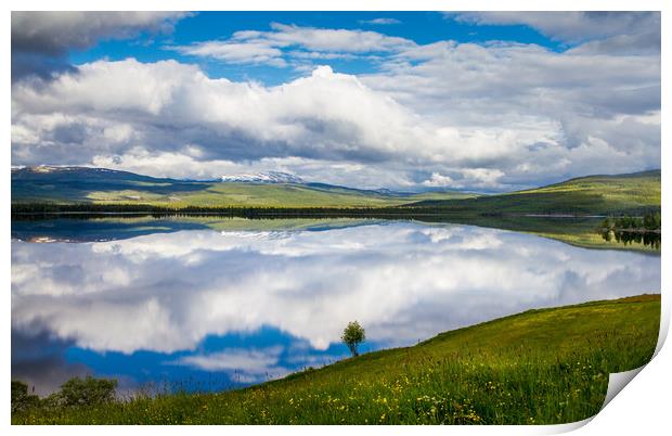 Reflection Print by Hamperium Photography