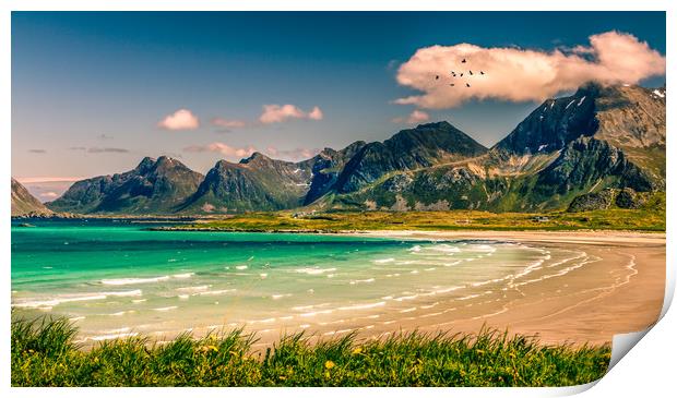 Lofoten Norway Print by Hamperium Photography