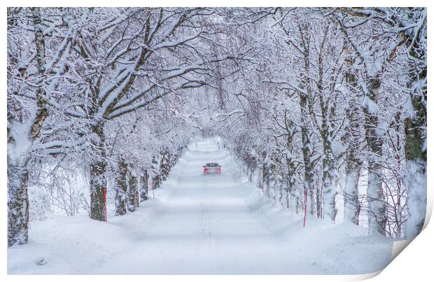 white road Print by Hamperium Photography