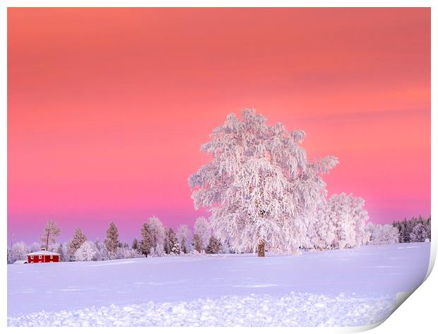 Sunset Jämtland Sweden Print by Hamperium Photography