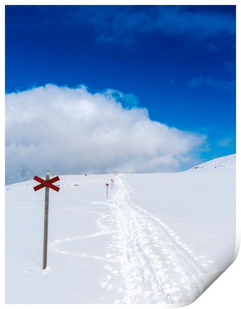 Road in the snow Print by Hamperium Photography