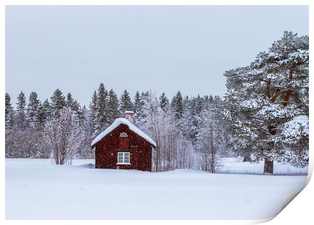 Snow in Sweden Print by Hamperium Photography
