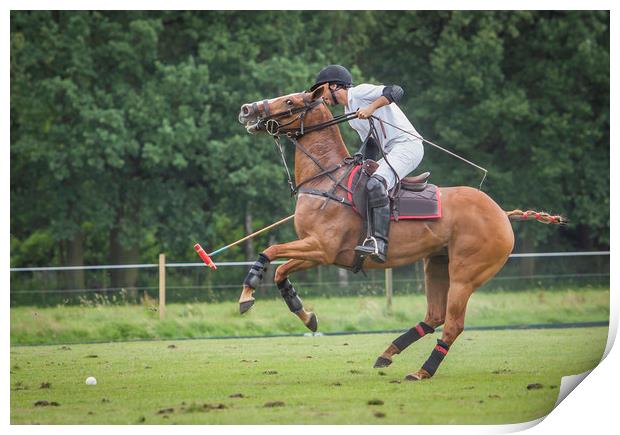 Polo competition in Belgium Print by Hamperium Photography