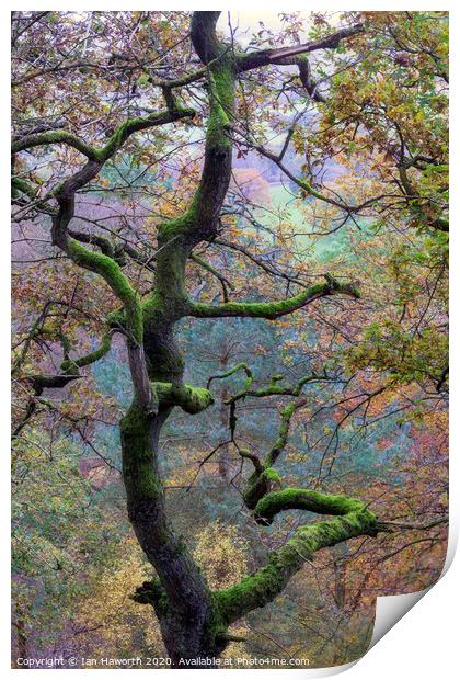 Autumn on The Edge Print by Ian Haworth