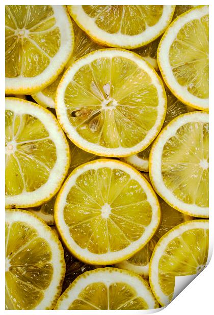 Slices of lemons Print by Igor Krylov