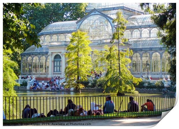 Cristal palace in summer Print by Igor Krylov