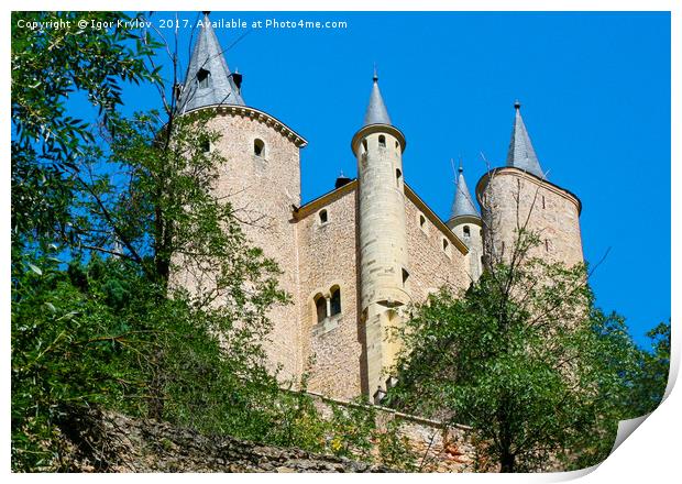 Castle Alcazar de Segovia Print by Igor Krylov
