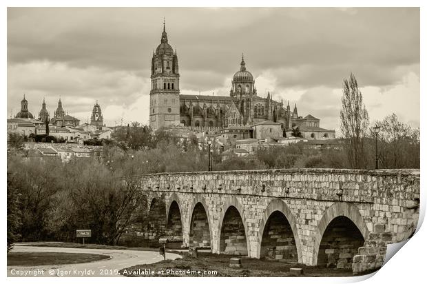 View on Cathedral Print by Igor Krylov