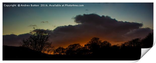 Sunset Skyline, Mountain Ash Print by Andrew Button