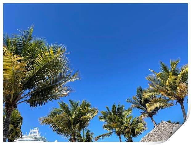 Palm trees In the blue sky Print by Harvey Watson