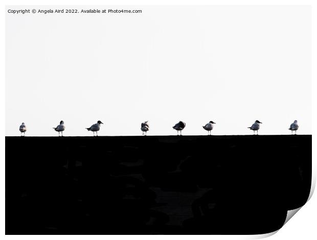Seagulls. Print by Angela Aird