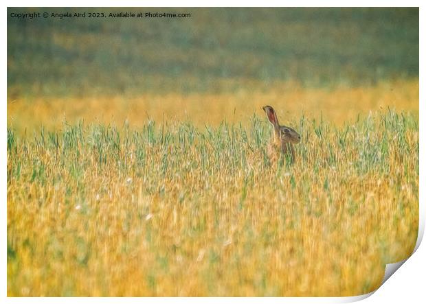 Hare. Print by Angela Aird