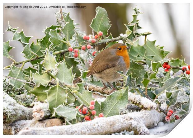 Frosty Days. Print by Angela Aird