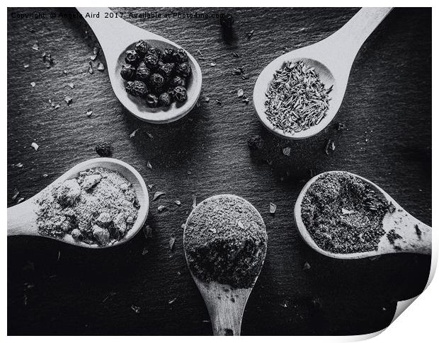 Spices. Print by Angela Aird