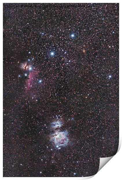 Orion Nebula. Print by Angela Aird