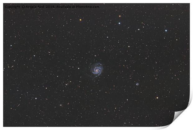 Pinwheel Galaxy. Print by Angela Aird