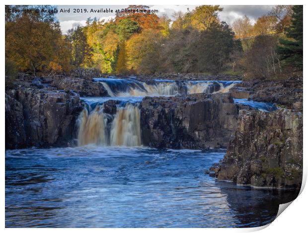 Low Force. Print by Angela Aird
