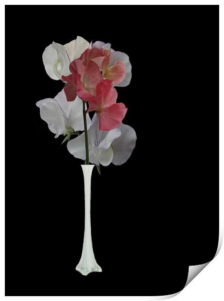 Vase of flowers Print by Henry Horton