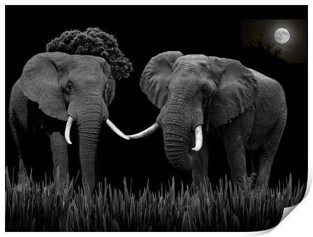 Bull Elephants Compete Print by Henry Horton