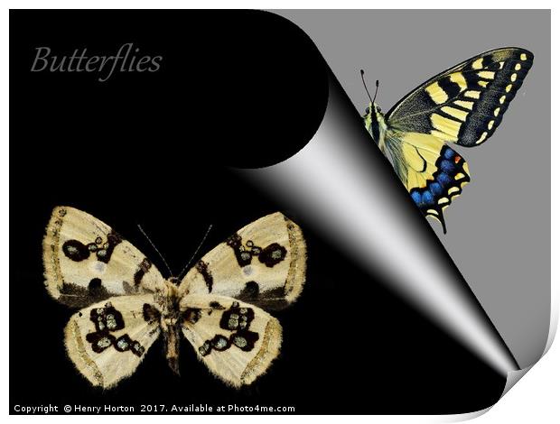 Butterfly Book Print by Henry Horton