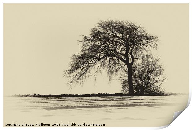 Winter Landscape Print by Scott Middleton