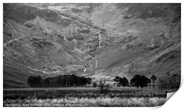 Buttermere Trees Print by Scott Middleton