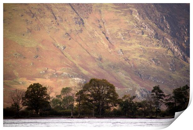 Butternmere fells with trees Print by Scott Middleton