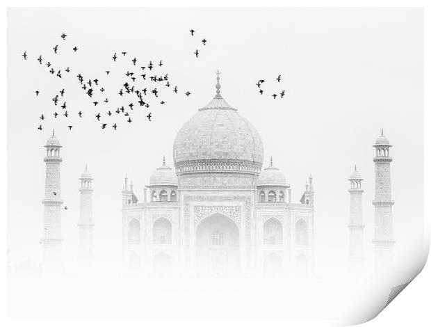 Taj Mahal with a flock of birds Print by Thomas Herzog
