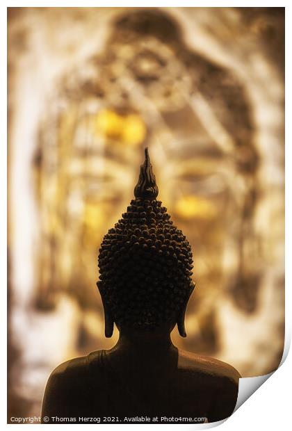 Face to face with Buddha Print by Thomas Herzog