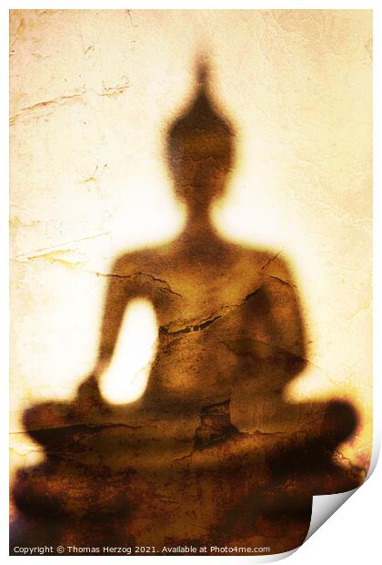 The shadow of Buddha Print by Thomas Herzog