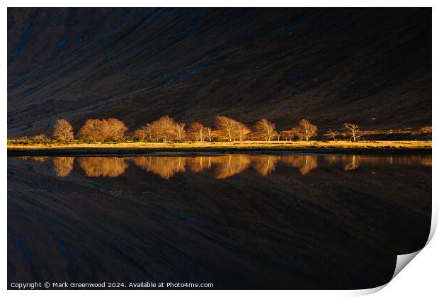 Winter Treeline Print by Mark Greenwood