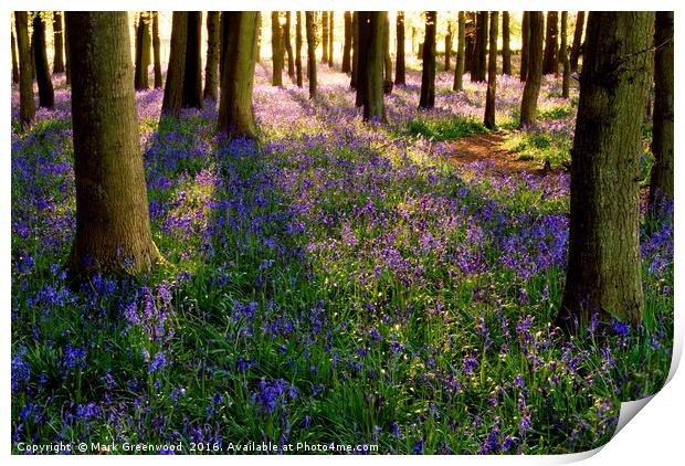 Bluebell Symphony Print by Mark Greenwood