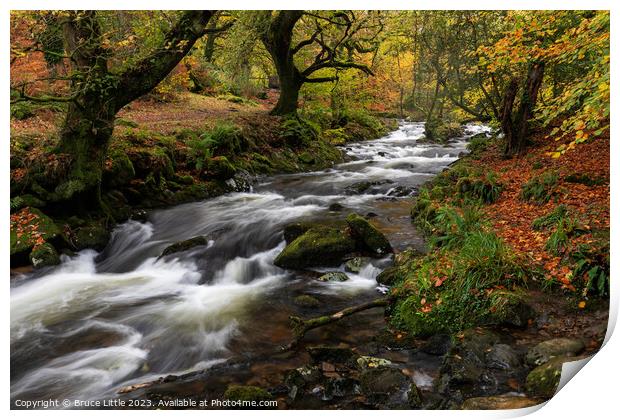 Dartmoor River in Autumn Print by Bruce Little
