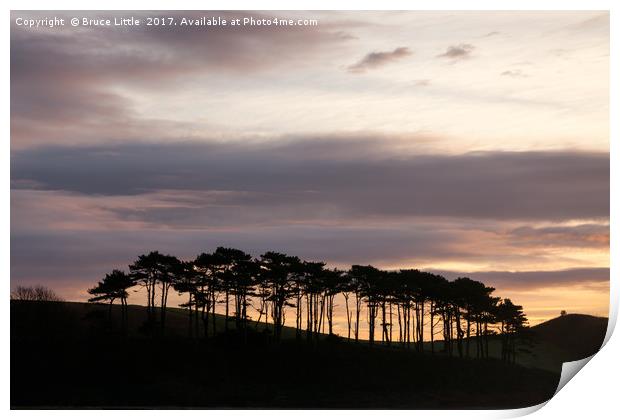 Sunrise over Coastal Trees Print by Bruce Little