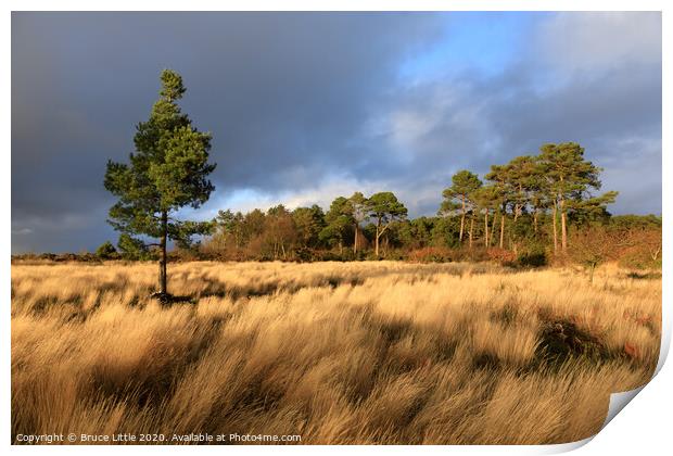 Dramatic light on Mutters Moor  Print by Bruce Little