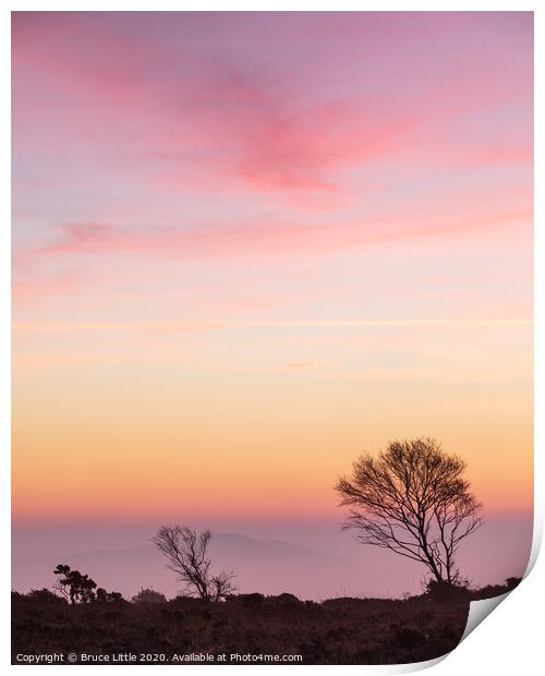 Dawn pinks on Woodbury Common Print by Bruce Little