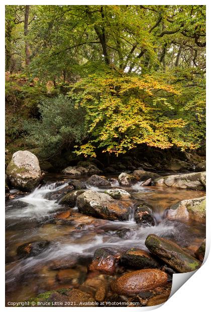 Serene Autumnal River in Dewerstone Woods Print by Bruce Little