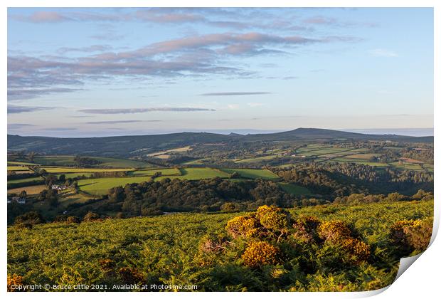 Rural Dartmoor View Print by Bruce Little