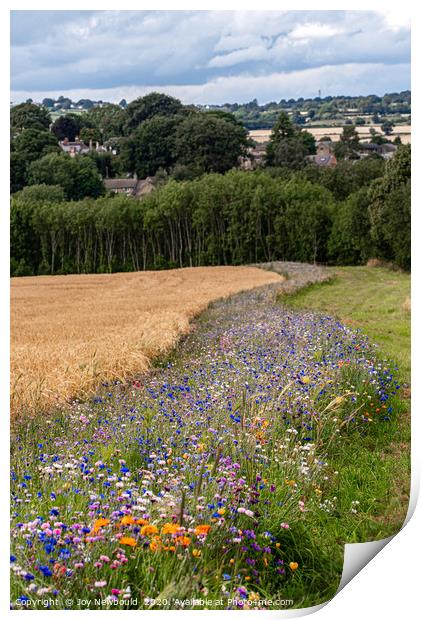 Wild Flowers surrounding a field of Barley Print by Joy Newbould